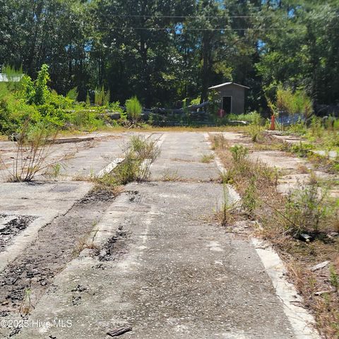 Tiny photo for 6816 Nc Hwy. 53 E, Burgaw, NC 28425 (MLS # 100528002)