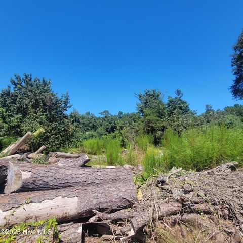 Tiny photo for 6816 Nc Hwy. 53 E, Burgaw, NC 28425 (MLS # 100528002)