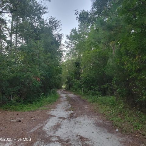 Tiny photo for 6816 Nc Hwy. 53 E, Burgaw, NC 28425 (MLS # 100528002)