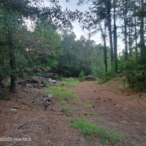 Tiny photo for 6816 Nc Hwy. 53 E, Burgaw, NC 28425 (MLS # 100528002)