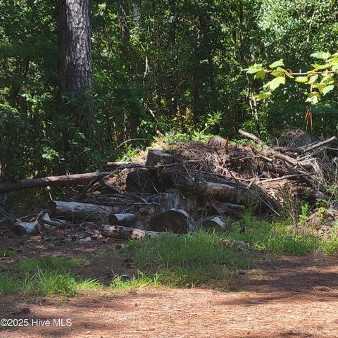 Tiny photo for 6816 Nc Hwy. 53 E, Burgaw, NC 28425 (MLS # 100528002)