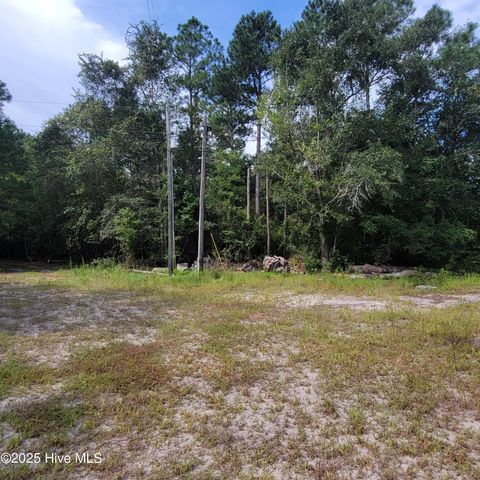 Tiny photo for 6816 Nc Hwy. 53 E, Burgaw, NC 28425 (MLS # 100528002)