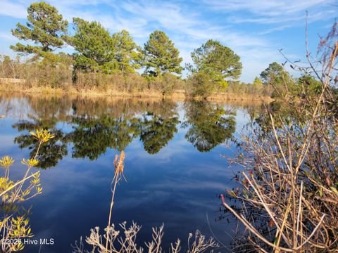 Vacant Land For Sale - LOT 428 Bay Tree Drive<br/> Bladen County, Harrells, NC 28444