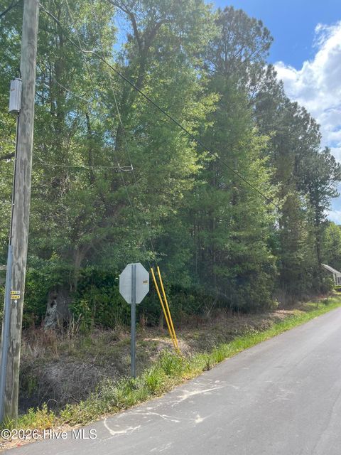 Tiny photo for 0 W Hayes Street, Burgaw, NC 28425 (MLS # 100568435)