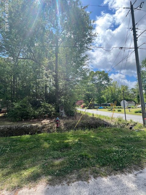 Photo of 0 W Hayes Street, Burgaw, NC 28425 (MLS # 100568435)