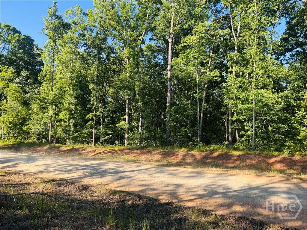 Photo of 3 Curry Falls Trail Road #3, Athens, GA 30607 (MLS # CL354735)