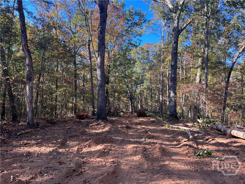 Photo of 3 Curry Falls Trail Road #3, Athens, GA 30607 (MLS # CL354735)