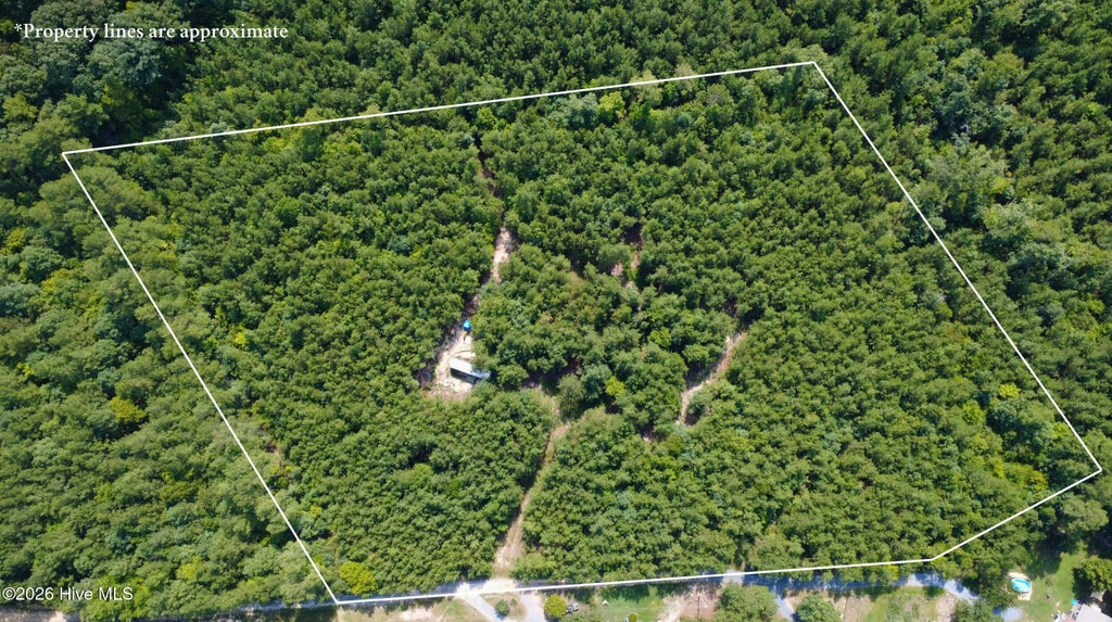 Photo of 239 Lick Creek Road, Carthage, NC 28327 (MLS # 100600219)
