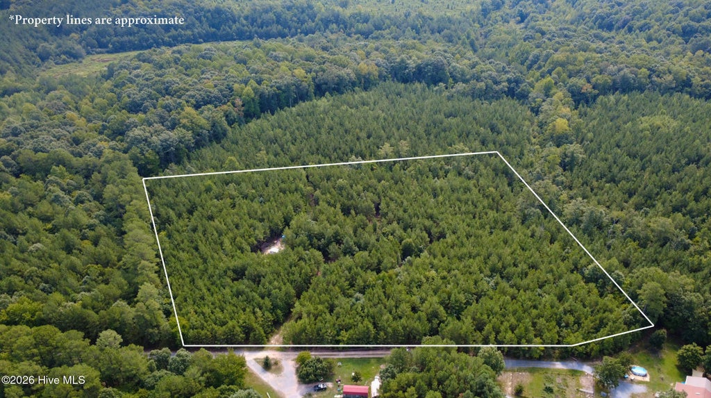 Photo of 239 Lick Creek Road, Carthage, NC 28327 (MLS # 100600219)