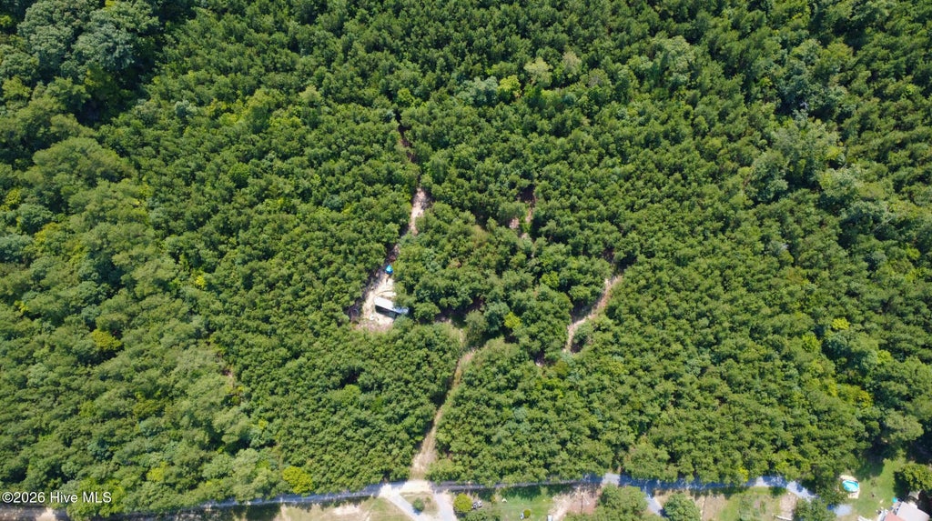 Photo of 239 Lick Creek Road, Carthage, NC 28327 (MLS # 100600219)
