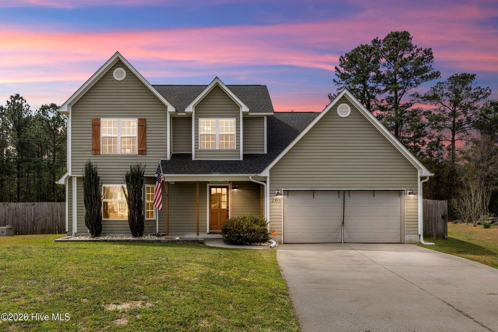 Photo of 205 Kayla Dawn Court, Maple Hill, NC 28454 (MLS # 100565665)
