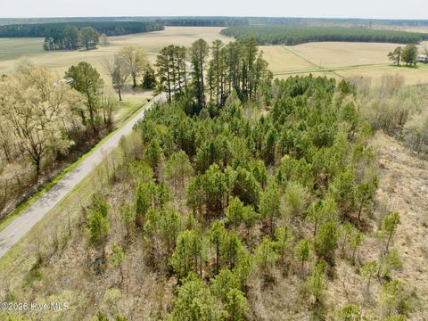 Vacant Land For Sale - Black Mingle Road<br/> Gates County, Gates, NC 27937