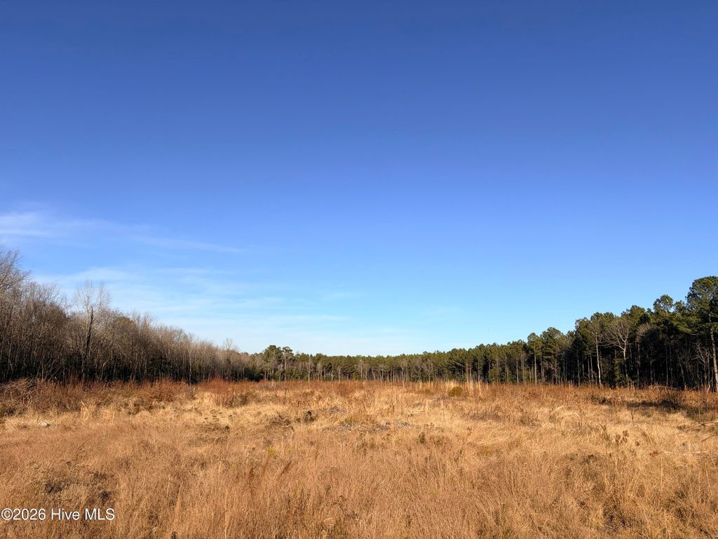 Photo of 0 Red Oak Boulevard, Nashville, NC 27856 (MLS # 100549002)