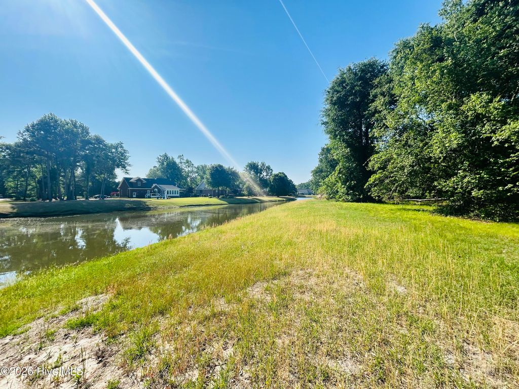 Photo of 136 Sugar Maple Court, Wallace, NC 28466 (MLS # 100572438)