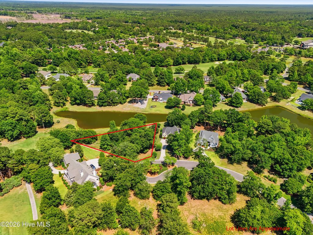 Photo of 136 Sugar Maple Court, Wallace, NC 28466 (MLS # 100572438)