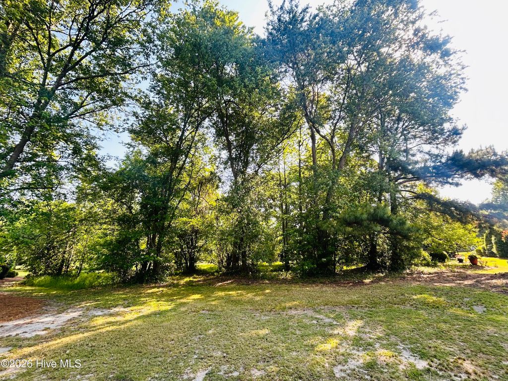 Photo of 136 Sugar Maple Court, Wallace, NC 28466 (MLS # 100572438)