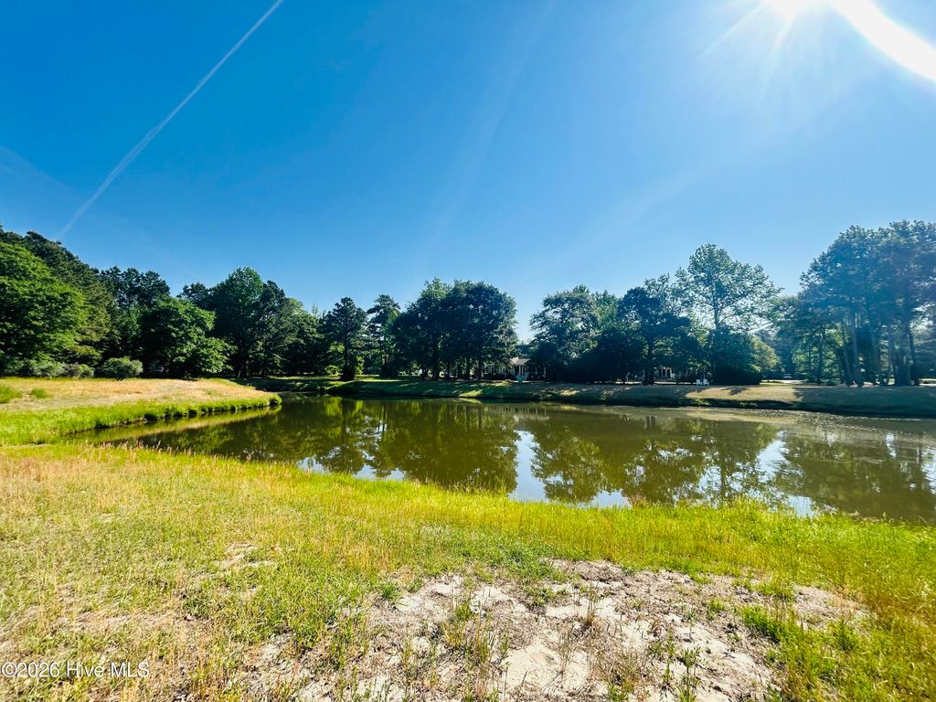 Photo of 136 Sugar Maple Court, Wallace, NC 28466 (MLS # 100572438)