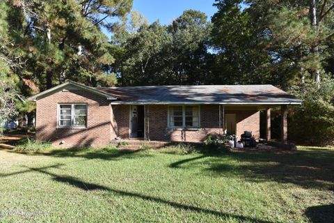 Homes For Sale - 211 E Modlin Road<br/> Hertford County, Ahoskie, NC 27910