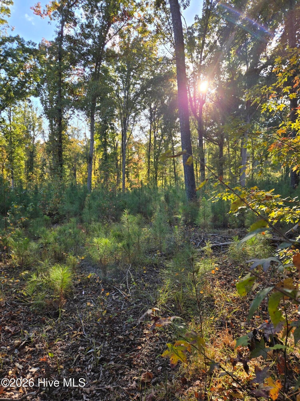 Photo of 0 Mercier Road, Lincolnton, GA 30817 (MLS # 100613337)