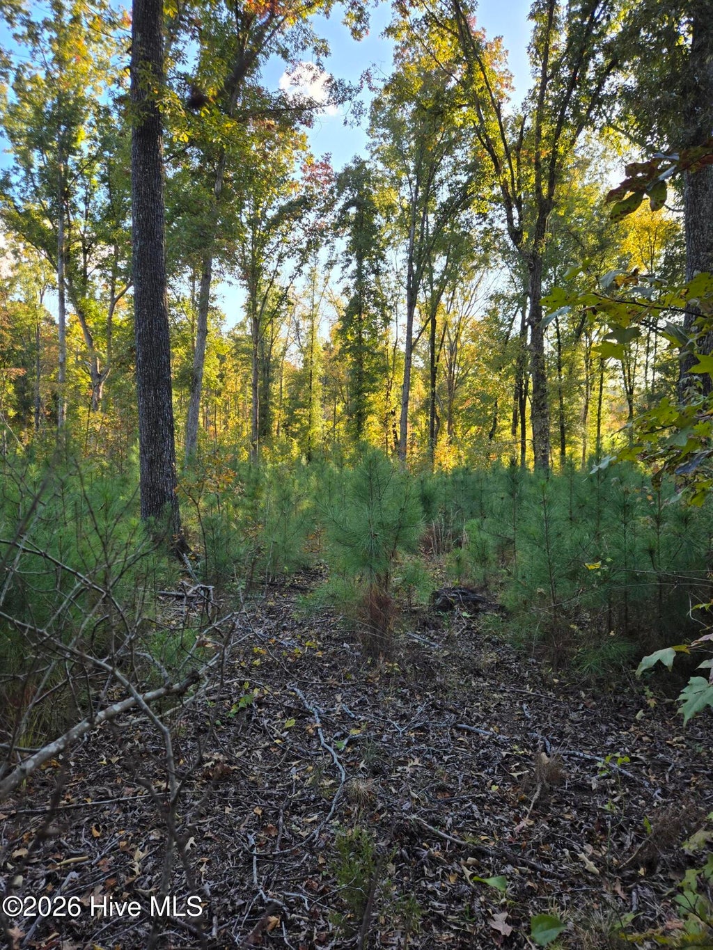 Photo of 0 Mercier Road, Lincolnton, GA 30817 (MLS # 100613337)