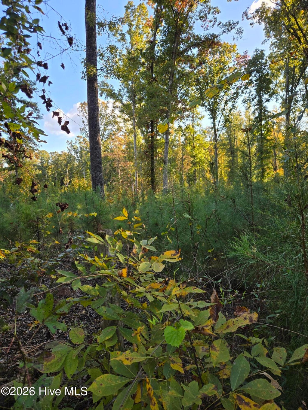 Photo of 0 Mercier Road, Lincolnton, GA 30817 (MLS # 100613337)