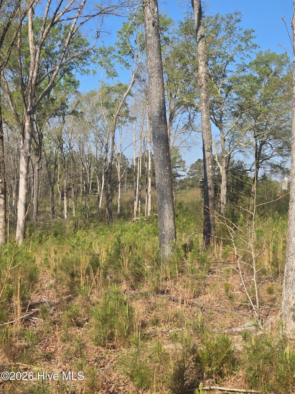 Photo of 0 Mercier Road, Lincolnton, GA 30817 (MLS # 100613337)