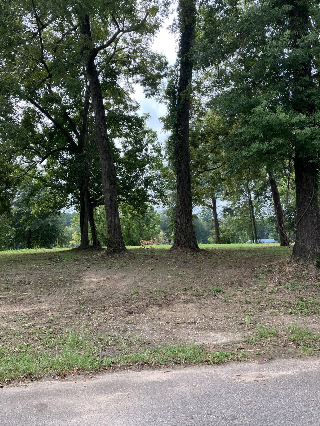 Photo of 165 River Bend Drive, Clarks Hill, SC 29821 (MLS # 553795)