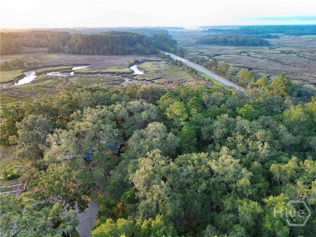 Photo of 2 Retreat Lane NE, Townsend, GA 31331 (MLS # SA365184)
