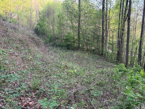 Vacant Land For Sale - Yellow Branch State Rd.1267<br/> Graham County, Robbinsville, NC 28771