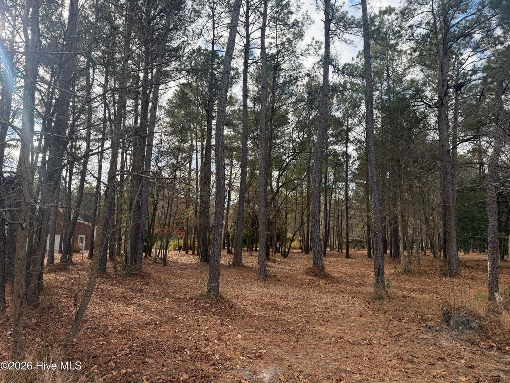 Photo of 109 Pine Ridge Drive, Wallace, NC 28466 (MLS # 100550676)