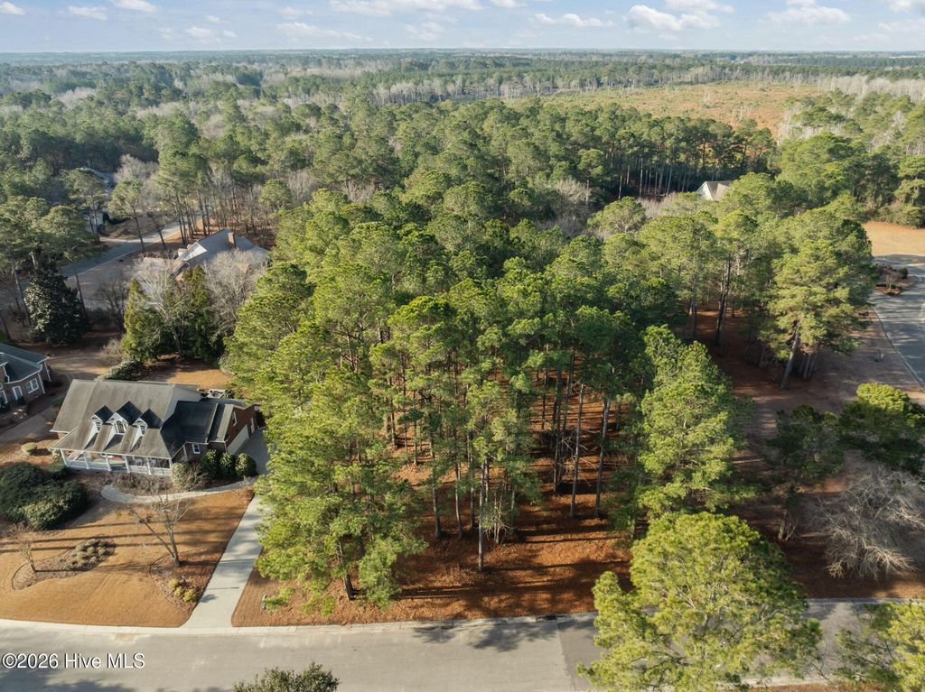 Photo of 109 Pine Ridge Drive, Wallace, NC 28466 (MLS # 100550676)