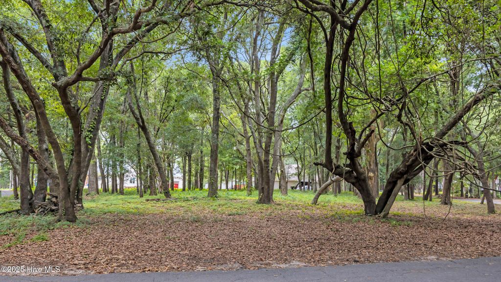 Photo of 1900 Egret Street SW, Shallotte, NC 28470 (MLS # 100539252)