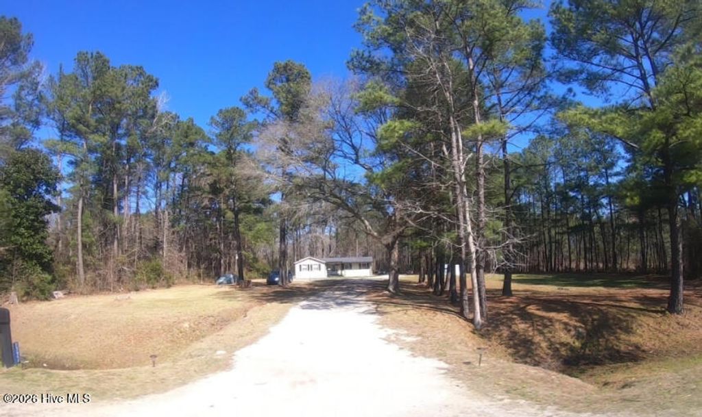 Photo of 23955 Andrew Jackson Highway E, Bolton, NC 28423 (MLS # 100564255)