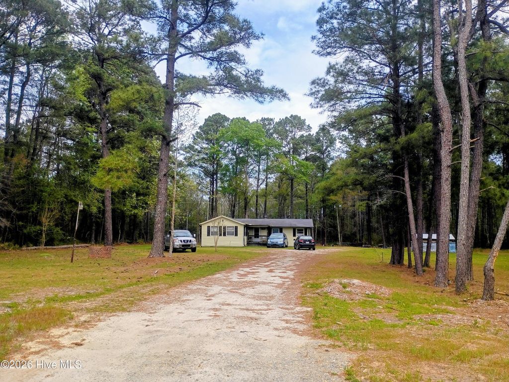 Photo of 23955 Andrew Jackson Highway E, Bolton, NC 28423 (MLS # 100564255)