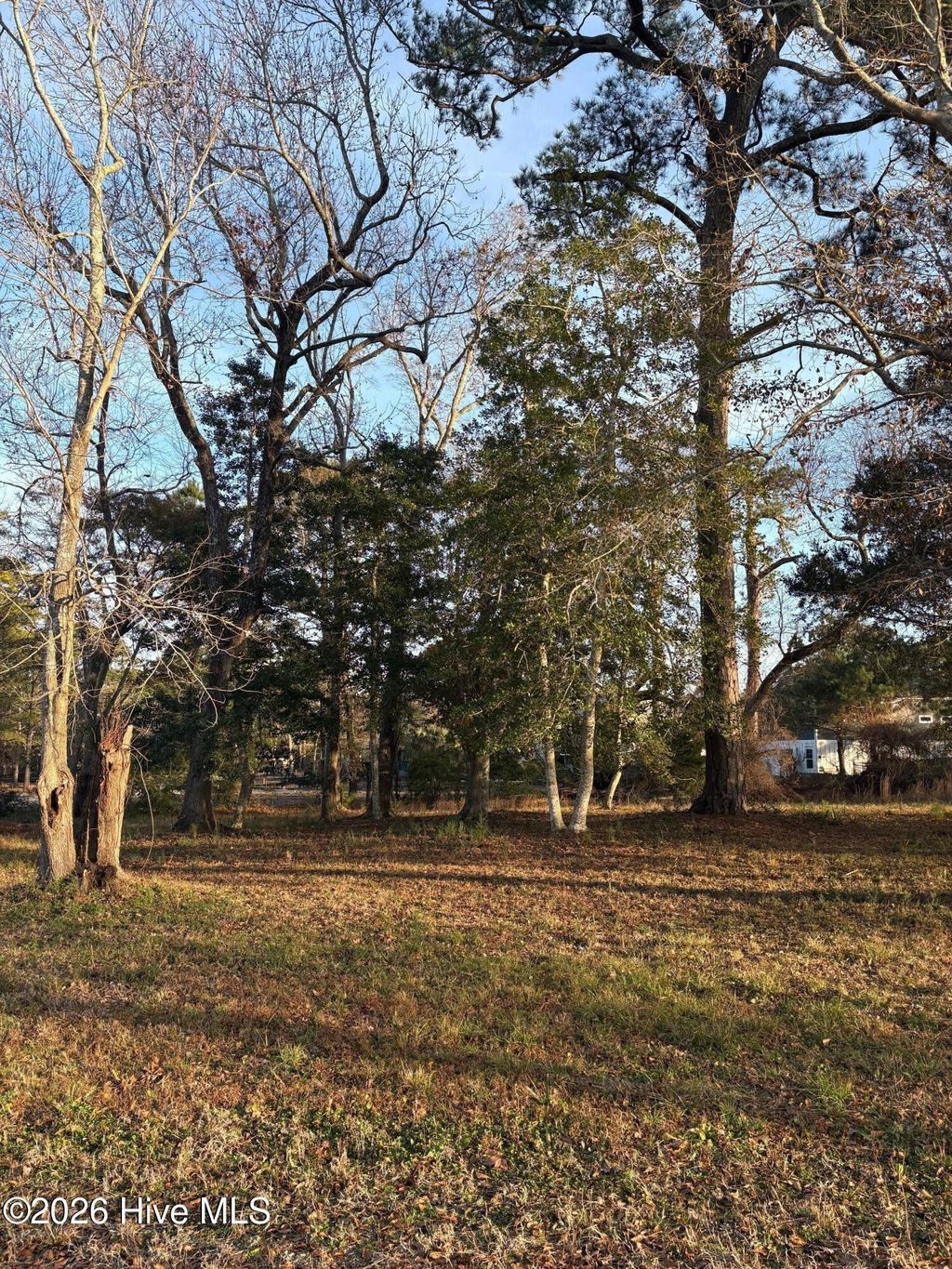 Photo of 100 Oak Outlook Way N, Carolina Beach, NC 28428 (MLS # 100547763)