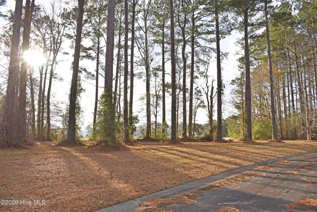 Photo of 179 Corrolla Loop Road, Oriental, NC 28571 (MLS # 100550991)