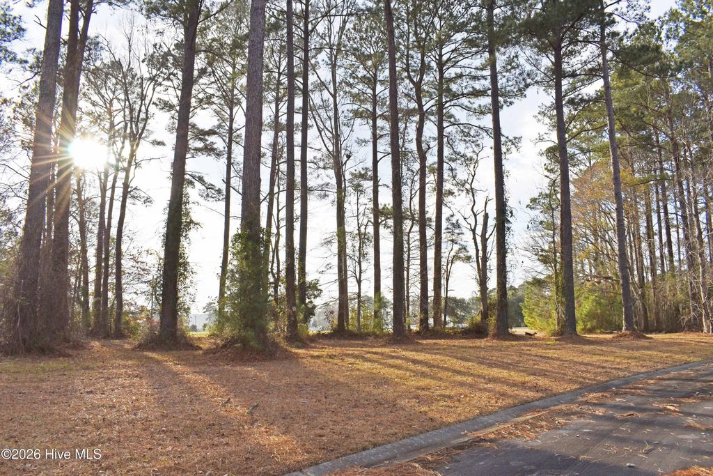 Photo of 179 Corrolla Loop Road, Oriental, NC 28571 (MLS # 100550991)