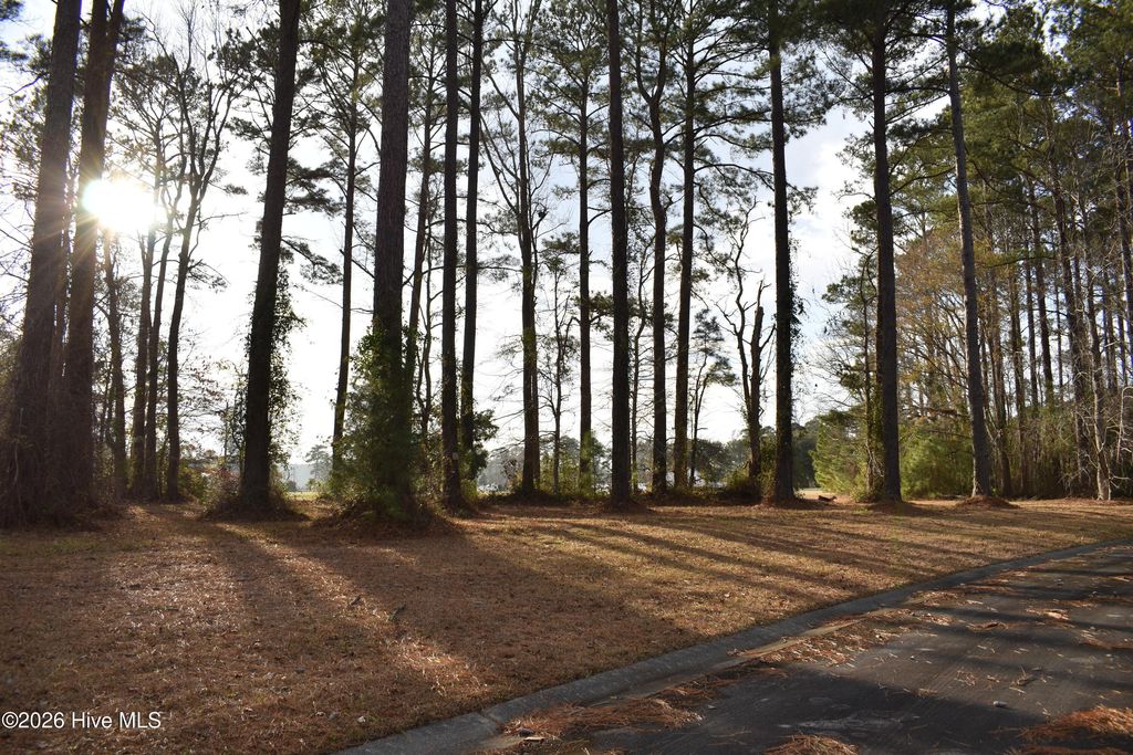 Photo of 179 Corrolla Loop Road, Oriental, NC 28571 (MLS # 100550991)