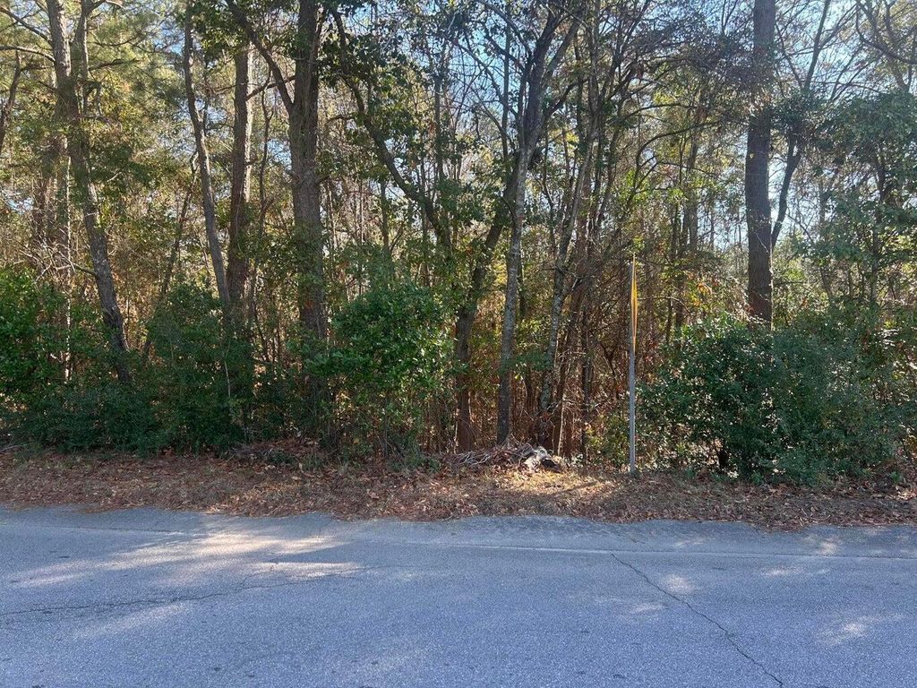 Photo of 000 Fairway Drive, New Ellenton, SC 29809 (MLS # 550261)