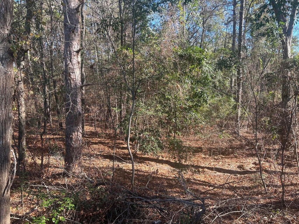 Photo of 000 Fairway Drive, New Ellenton, SC 29809 (MLS # 550261)