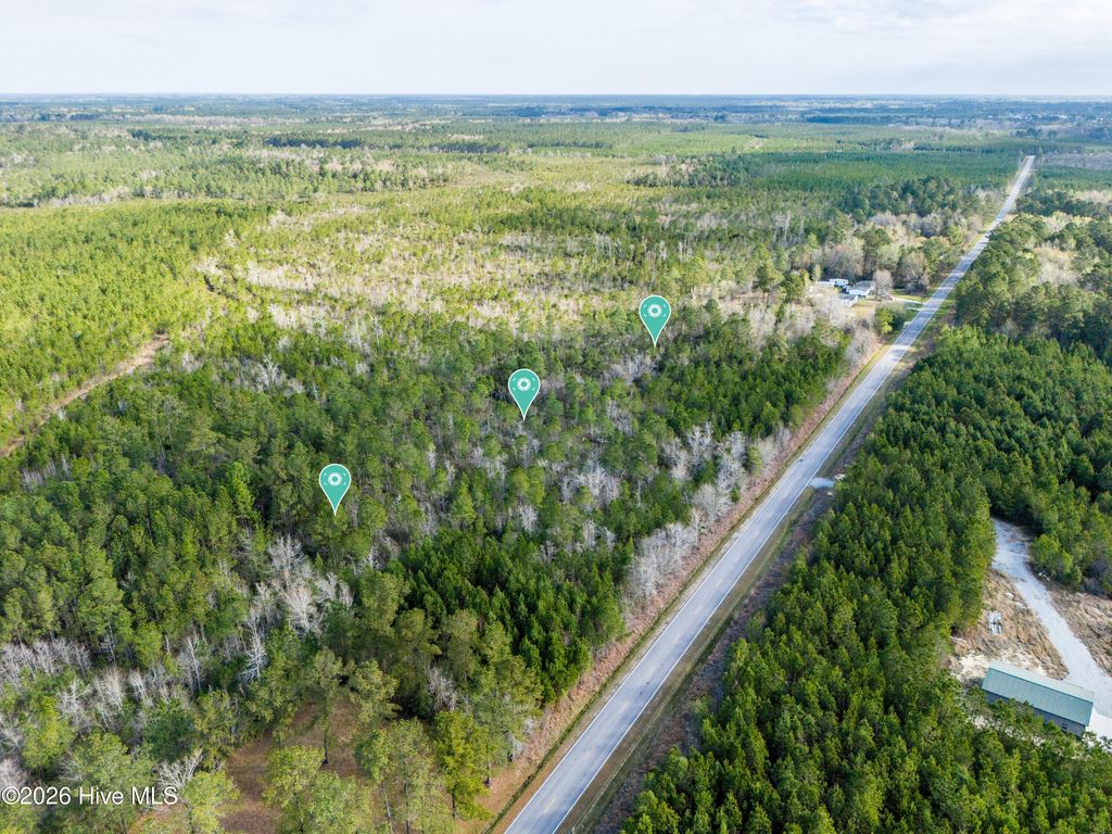 Photo of 258 Hardy Graham Road, Maple Hill, NC 28454 (MLS # 100563272)