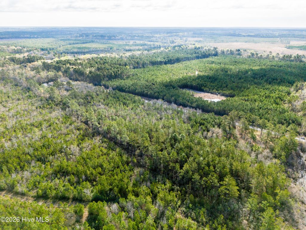 Photo of 258 Hardy Graham Road, Maple Hill, NC 28454 (MLS # 100563272)