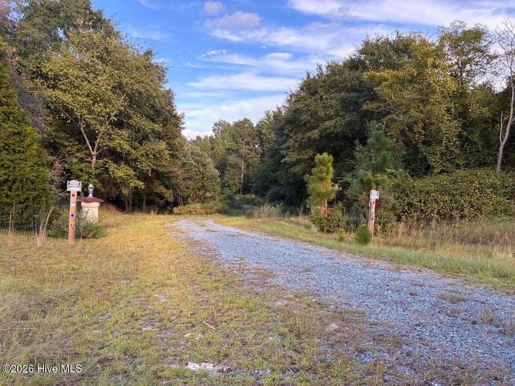 Photo of 1181 Lobelia Road, Vass, NC 28394 (MLS # 100608464)