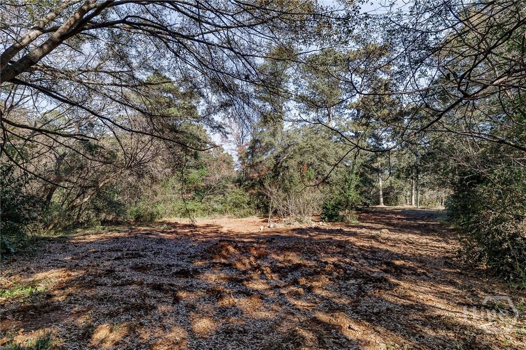 Photo of 51 Thrasher Drive, Watkinsville, GA 30677 (MLS # CL353933)
