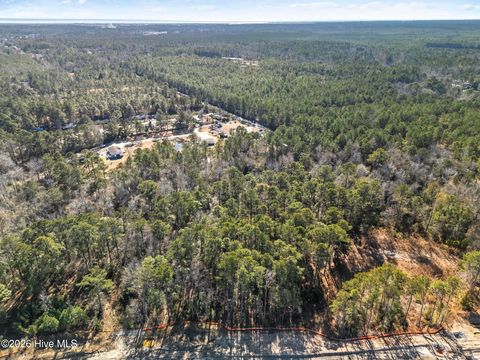 Tiny photo for 1 Lea Crest Lane, Hampstead, NC 28443 (MLS # 100572690)