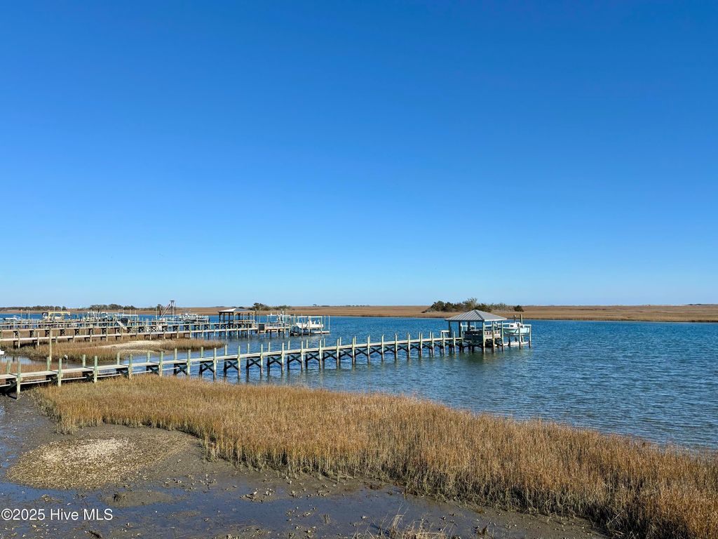 Photo of 23 Bowen Court, Wilmington, NC 28411 (MLS # 100580385)