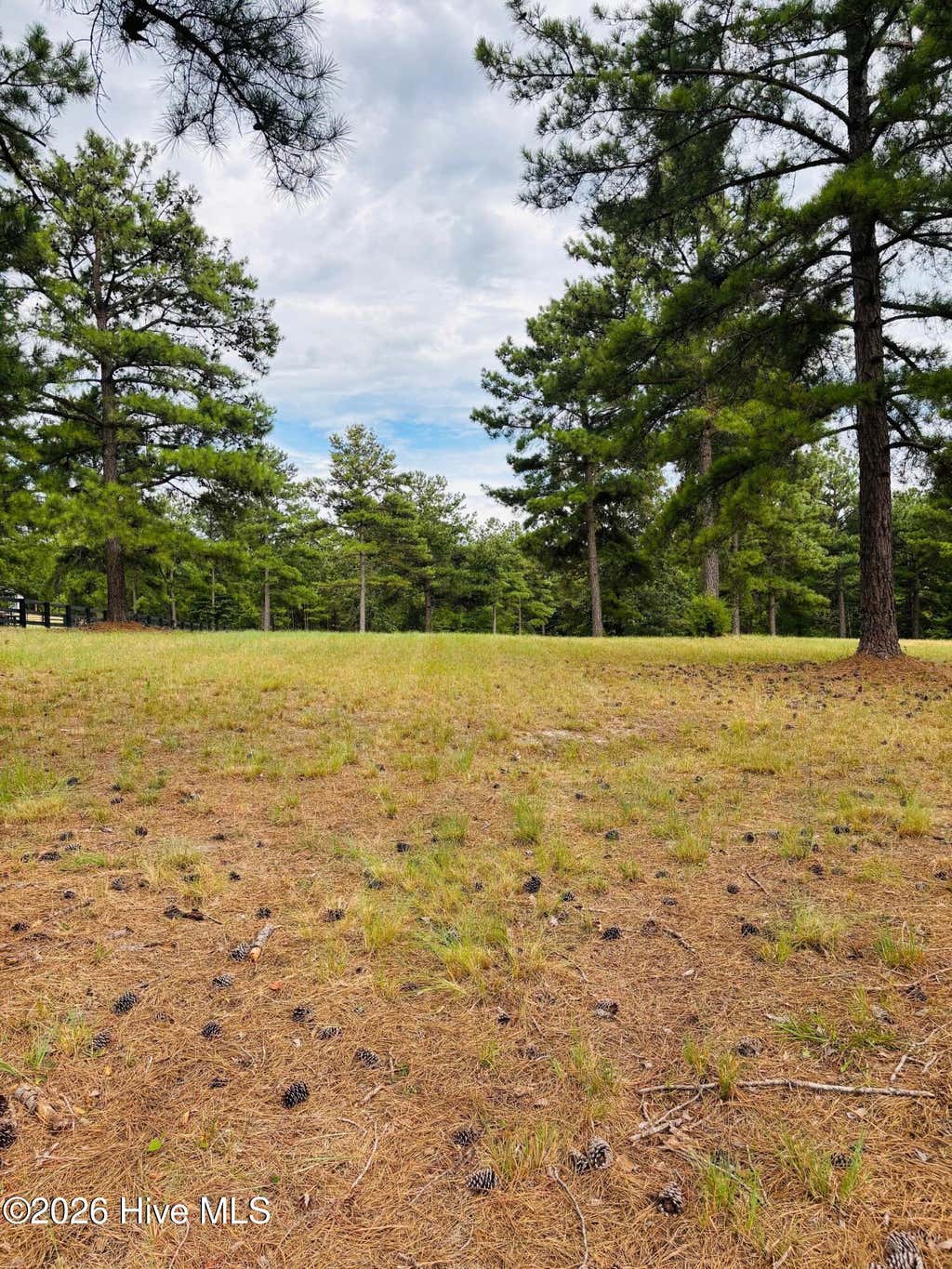 Photo of 760 Broken Ridge Trail, West End, NC 27376 (MLS # 100588374)
