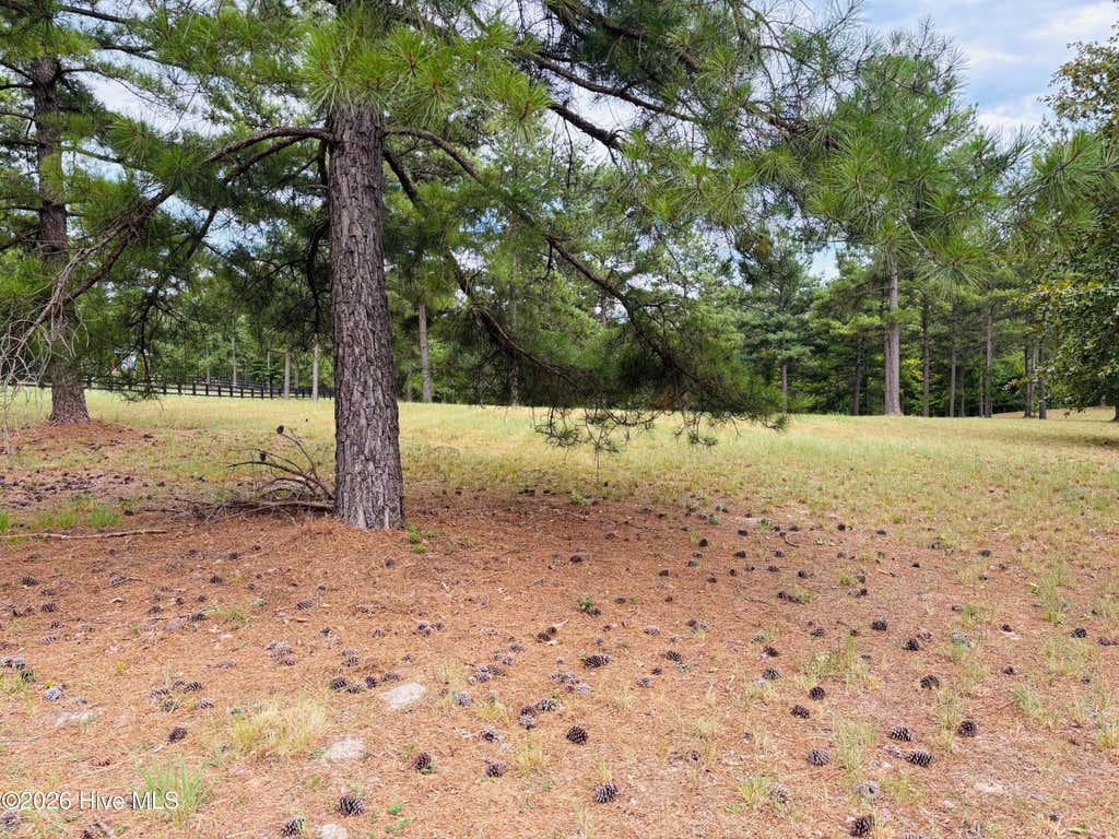 Photo of 760 Broken Ridge Trail, West End, NC 27376 (MLS # 100588374)