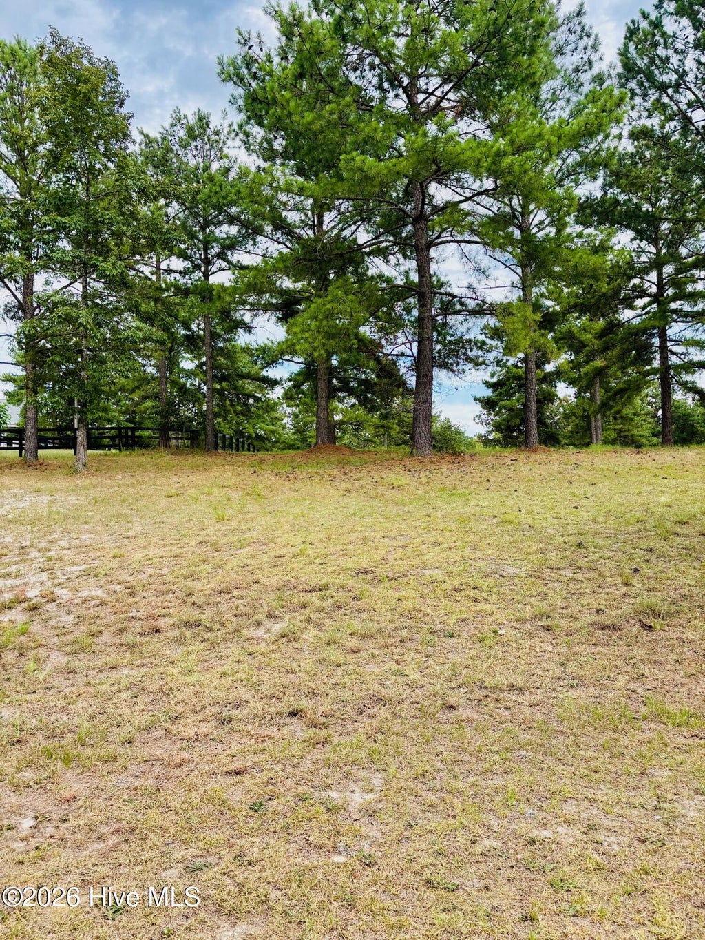 Photo of 760 Broken Ridge Trail, West End, NC 27376 (MLS # 100588374)