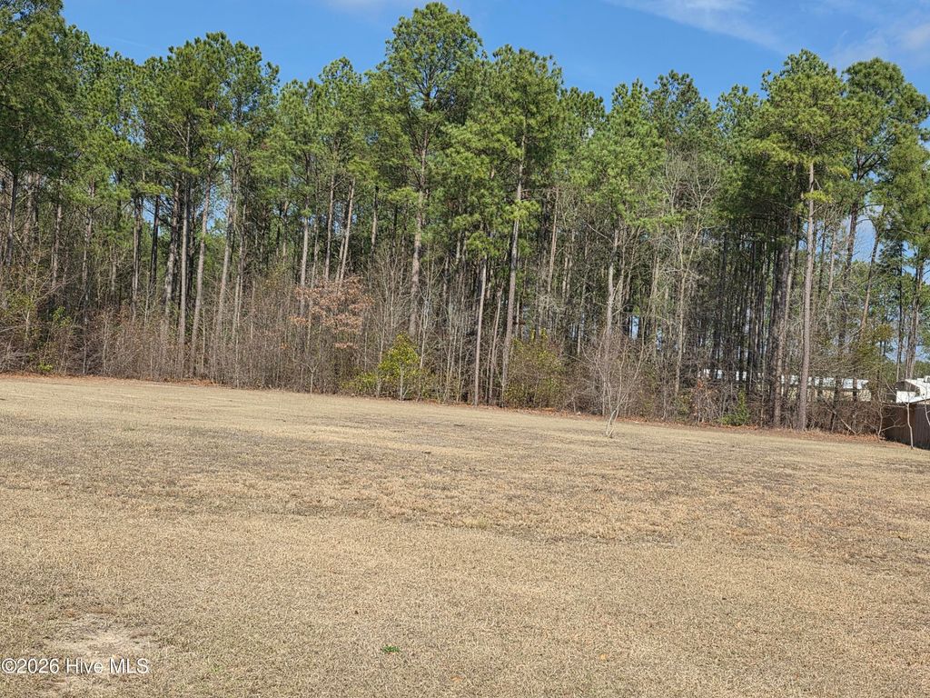 Photo of 290 Raynor Sands Drive, Dunn, NC 28334 (MLS # 100558903)